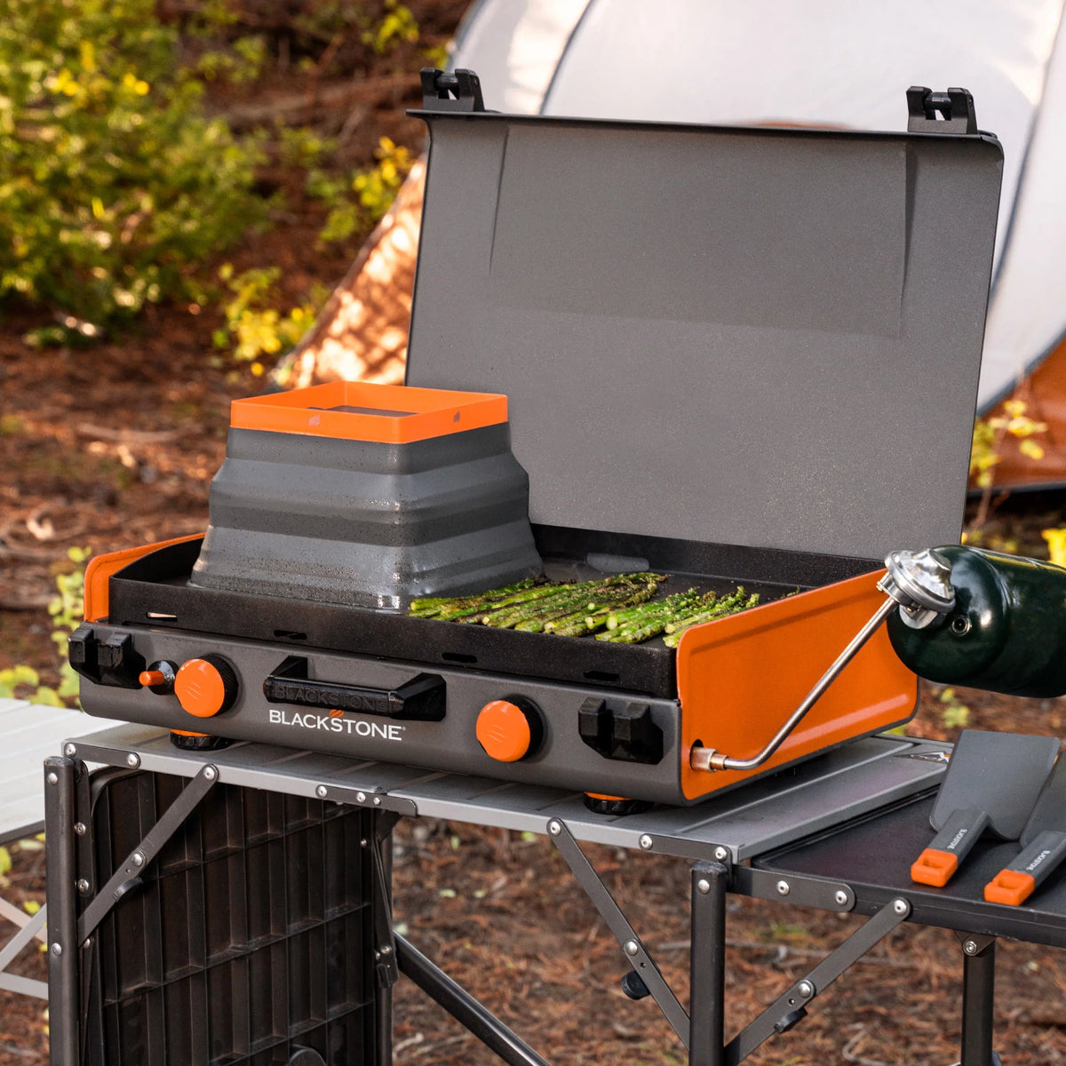 2-Burner Propane Camping Griddle with Hood and Handle N722754