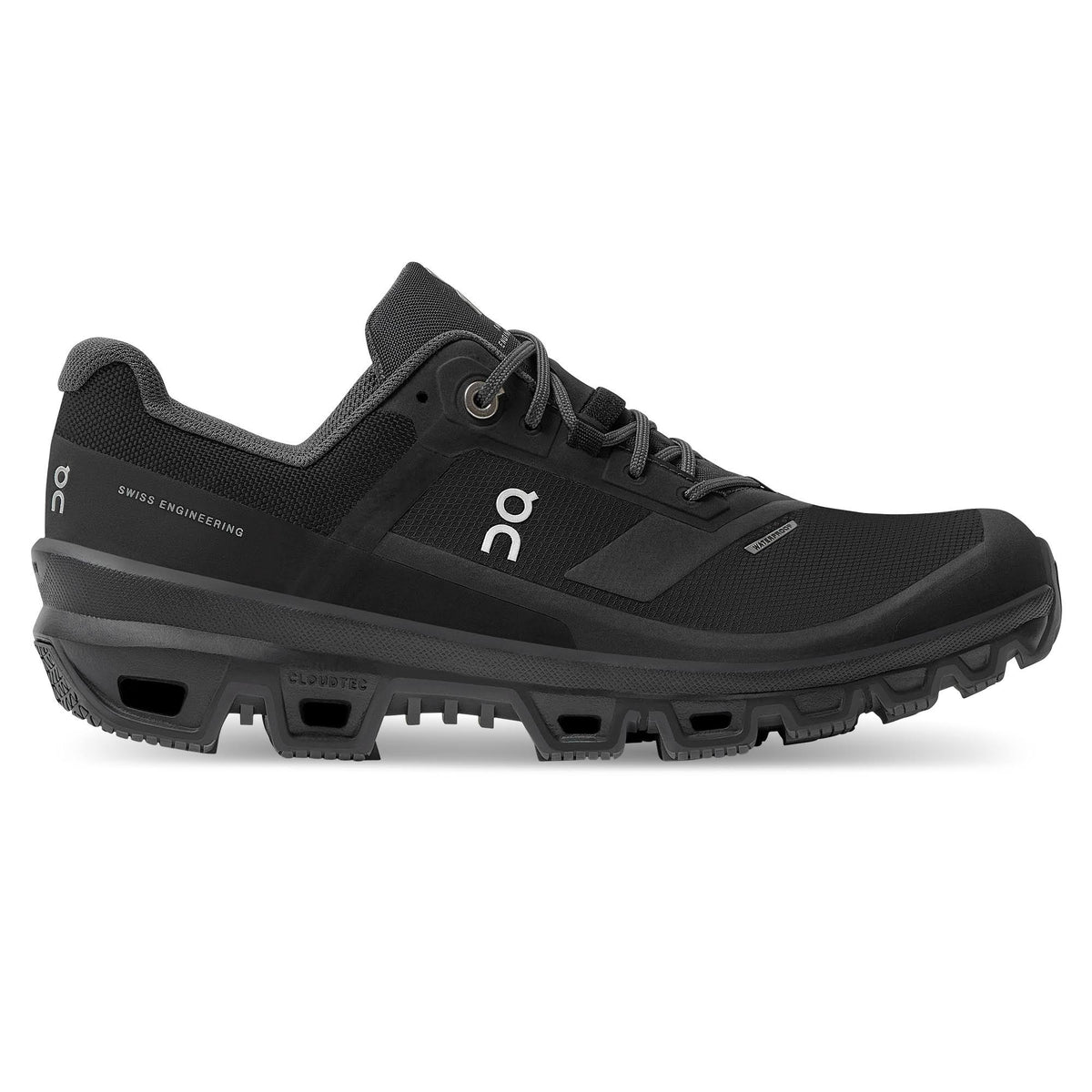 Cloudventure Waterproof Black Shoes E649753