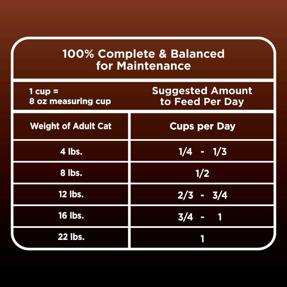 Turkey & Chicken Recipe Adult Dry Cat Food L29575