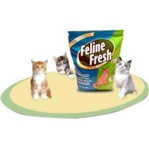 Natural Pine Cat Litter M29360