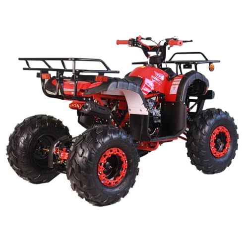 125cc Youth ATV Quad with Remote Control Burgundy D259689