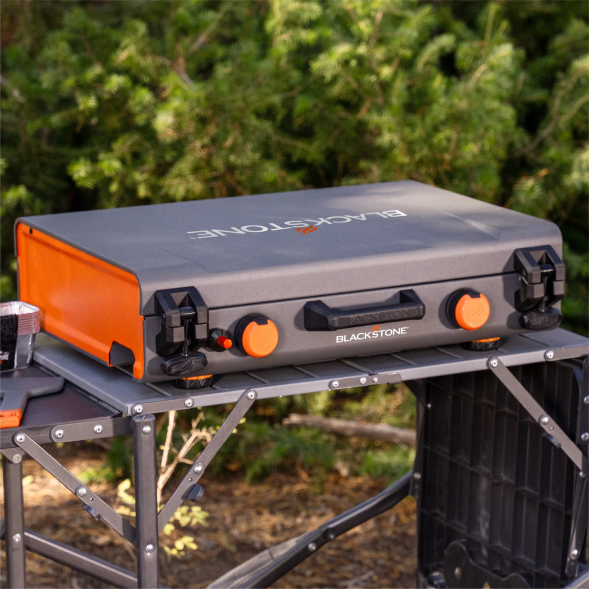 2-Burner Propane Camping Griddle with Hood and Handle N722754