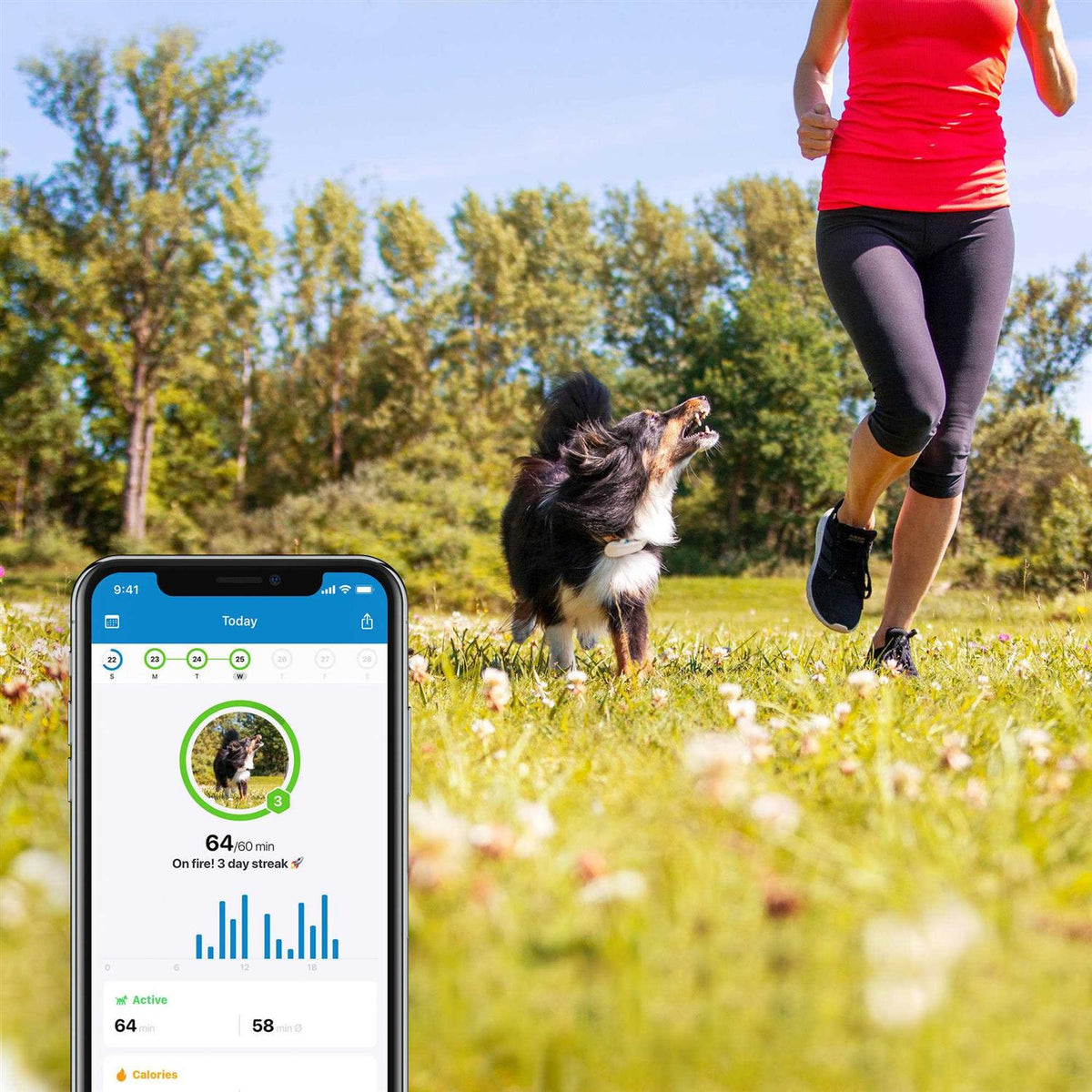 GPS Tracker D208375