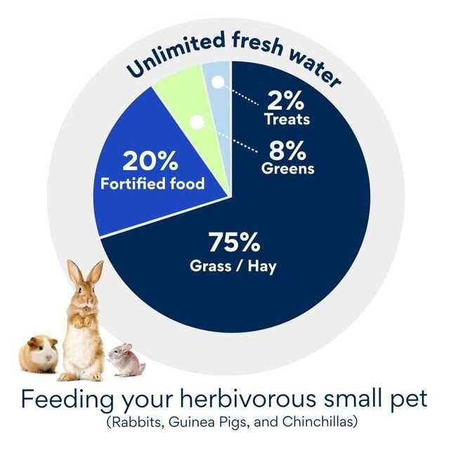 Rabbit Food Q175879